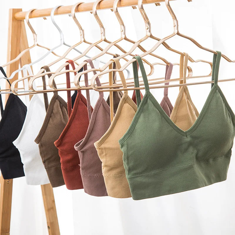 Seamless Cotton Elegance Bra Kit – 4 Padded Comfort Pieces