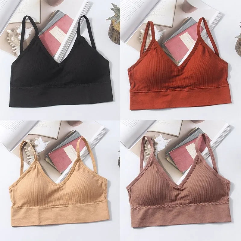 Seamless Cotton Elegance Bra Kit – 4 Padded Comfort Pieces