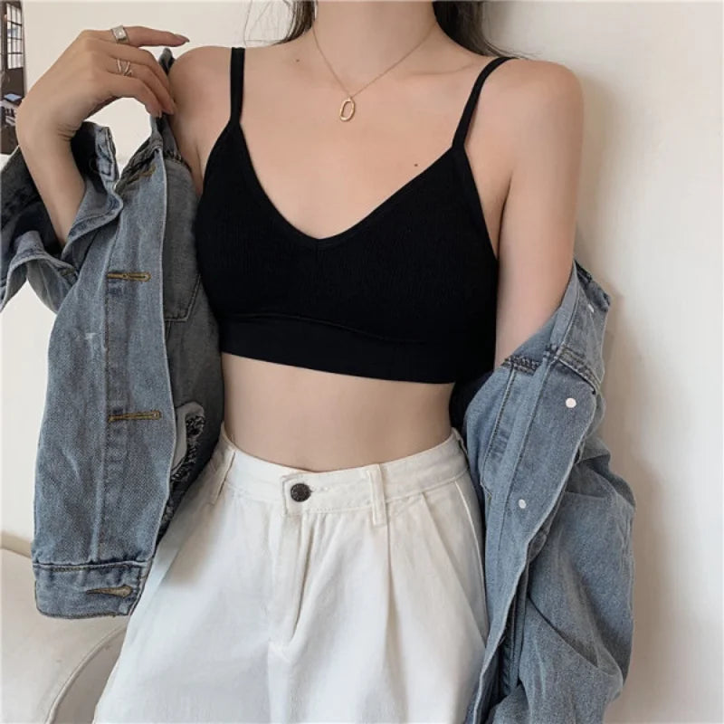 Seamless Cotton Elegance Bra Kit – 4 Padded Comfort Pieces