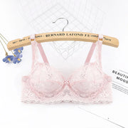 Plus Size Lace Push Up Bra Women Sexy Hollow Out Lingerie Lady Lace Transparent Underwear Female Embroidery Solid Bra
