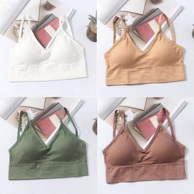 Seamless Cotton Elegance Bra Kit – 4 Padded Comfort Pieces