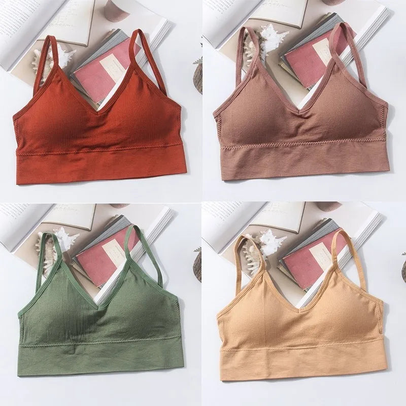 Seamless Cotton Elegance Bra Kit – 4 Padded Comfort Pieces