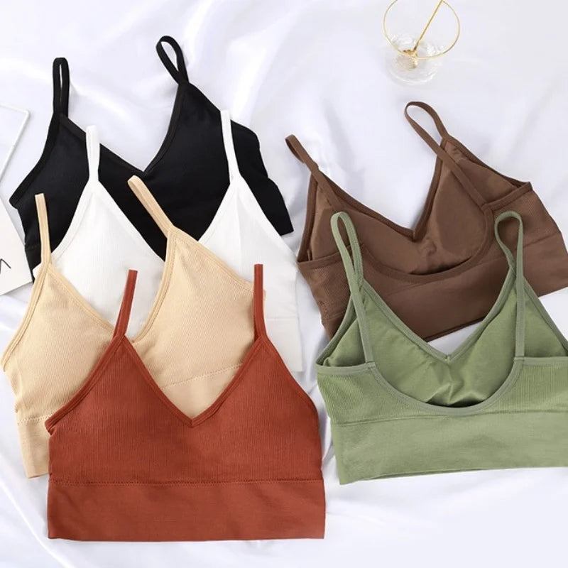 Seamless Cotton Elegance Bra Kit – 4 Padded Comfort Pieces