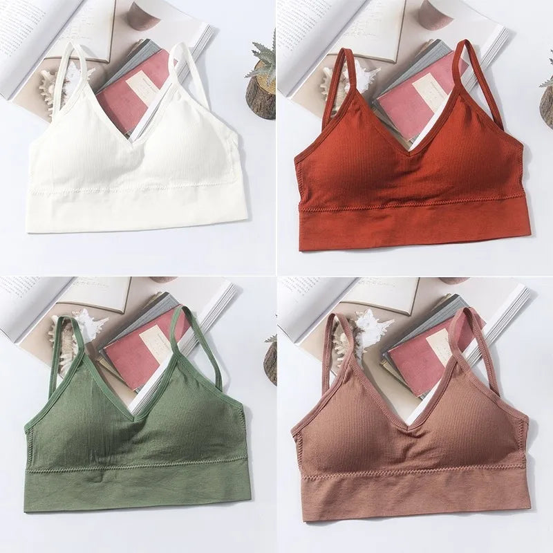 Seamless Cotton Elegance Bra Kit – 4 Padded Comfort Pieces