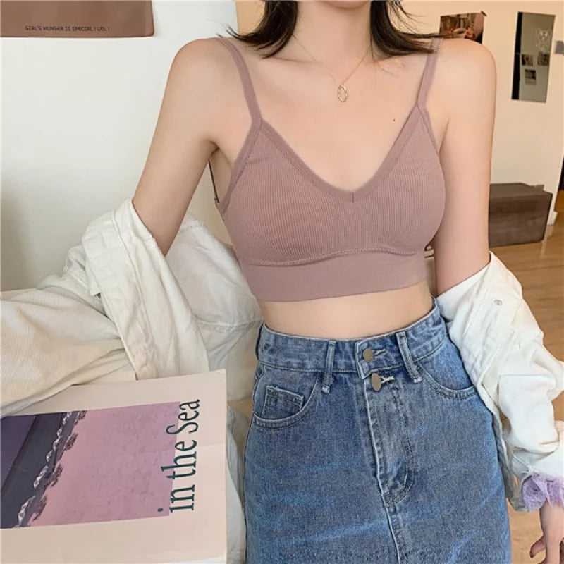 Seamless Cotton Elegance Bra Kit – 4 Padded Comfort Pieces