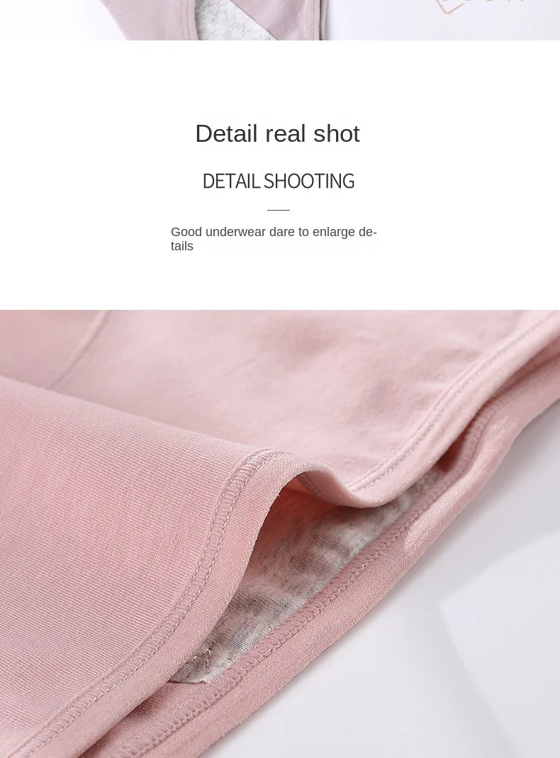 3-Pack Women’s Leakproof Menstrual Briefs