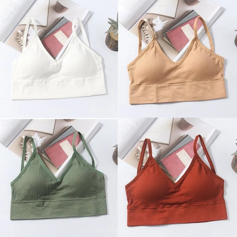 Seamless Cotton Elegance Bra Kit – 4 Padded Comfort Pieces