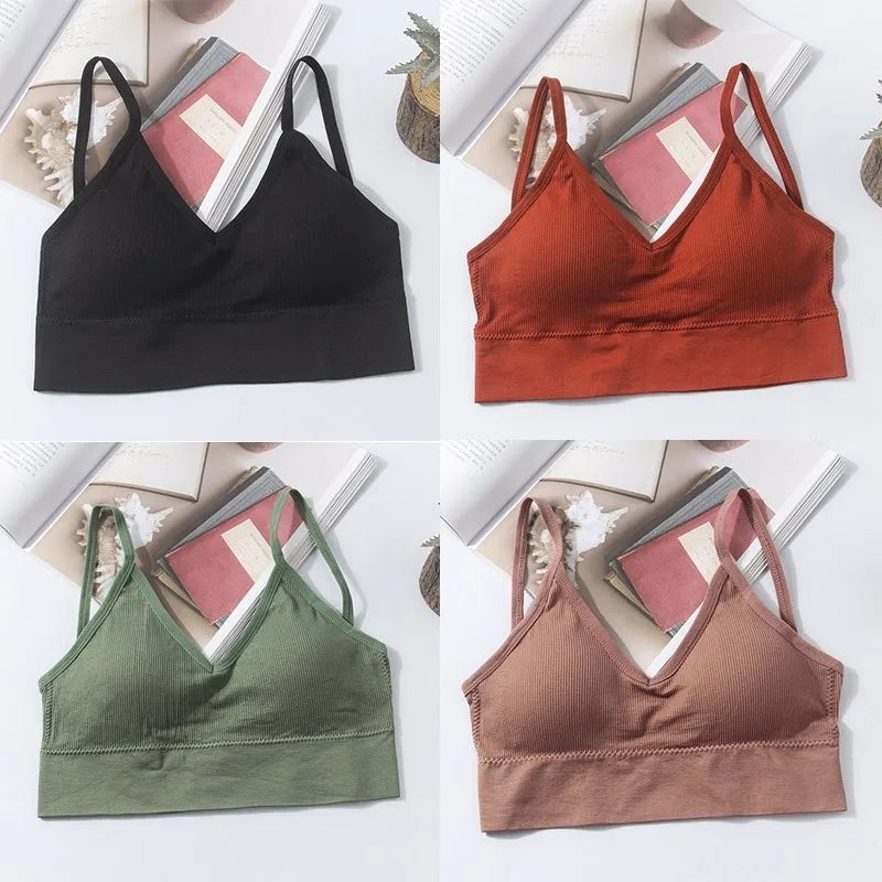 Seamless Cotton Elegance Bra Kit – 4 Padded Comfort Pieces